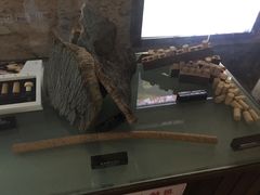 -青岛葡萄酒博物馆