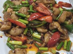 张飞爆肥肠-福园东北菜饺子铁锅炖