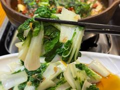 -九道菜有鸡鱼头(石鼓路店)