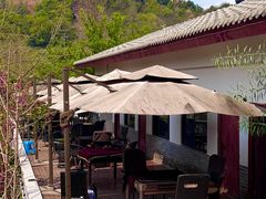 -桃源山庄·摘樱桃·柴火鸡·烧烤团建(龙泉山店)