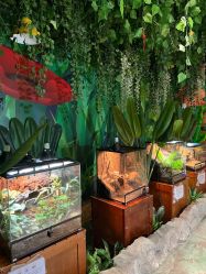 -酷嗒动物文化乐园(cutezoo西溪乐天城店)