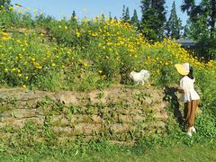 -前小桔亲子创意农场·草莓采摘·露营烧烤