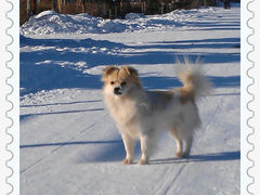 -雪谷