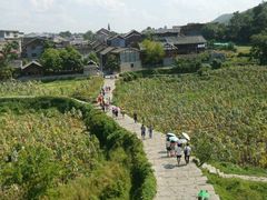 android_upload_pic-王万妈卤猪脚(青岩交通路)