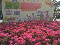 景点-盈香心动乐园