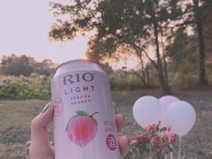 -艾溪湖湿地公园