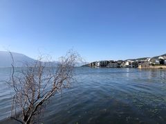 -洱海月湿地公园