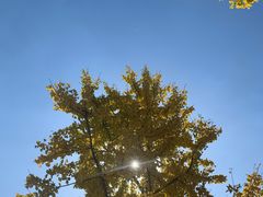 -中关村生命科学园