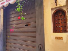 -圣母百花大教堂穹顶