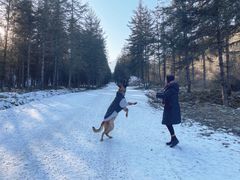 -硗碛藏寨·神木垒景区