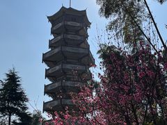 -蜀南竹海景区