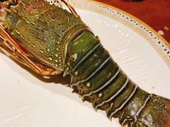 -和彩放题(渔阳店)