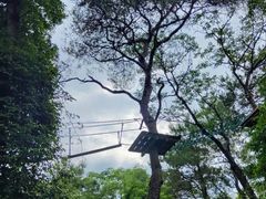-芦仙山景区-飞越丛林探险乐园