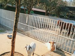 -洪湖家庭农场·团建·露营·会议