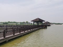 -南大港湿地风景区