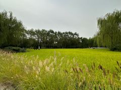 -北坞公园