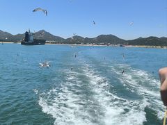 -海驴岛(荣成市)