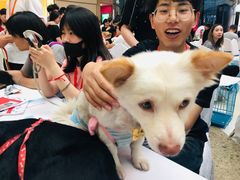 -万达广场(南京江宁店)