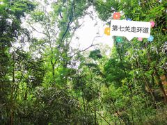 -WeLope紫金山探险公园