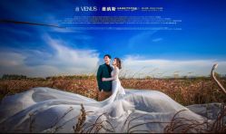 点击看大图 -维纳斯婚纱摄影(鞍山店)
