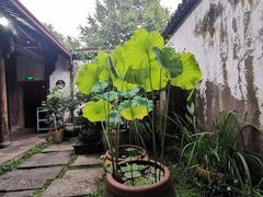 -院子餐厅·大锅菜·老杭帮(桥西直街店)