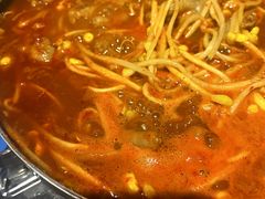 -猫头鹰炸鸡