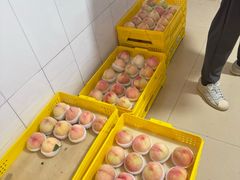 -老袁家蜜桃农场·阳山水蜜桃