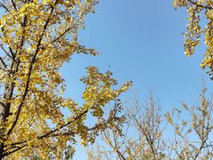 -黄兴公园