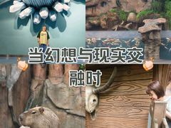 -杭州长乔极地海洋公园