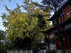 -润泽天·湘味家宴(岳麓山店)