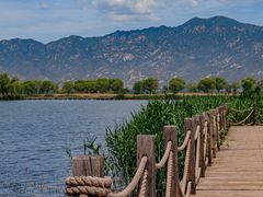 -野鸭湖国家湿地公园