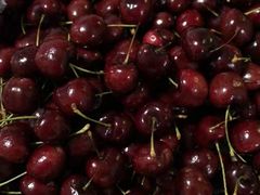 -红星农博物流中心