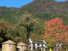 -塔川景区