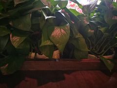 -HAPPEN(江川东路店)