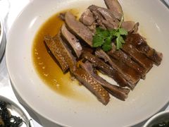 充满欲望的鹅肉-MR鹅外