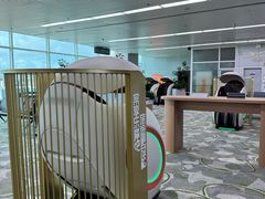 -福州长乐国际机场