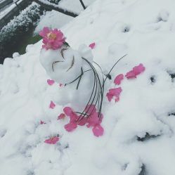 -莫莉幻想儿童乐园(绍兴金帝银泰城店)