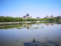 -莲花池公园