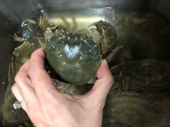 -三旗百汇商品城