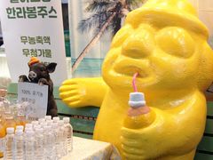 -西归浦每天偶来市场