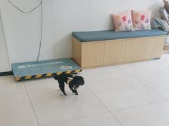 -美联众合动物医院·24h京西诊疗中心
