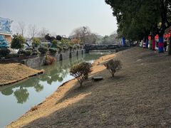 -溱湖国家湿地公园