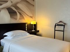 -国家会议中心大酒店