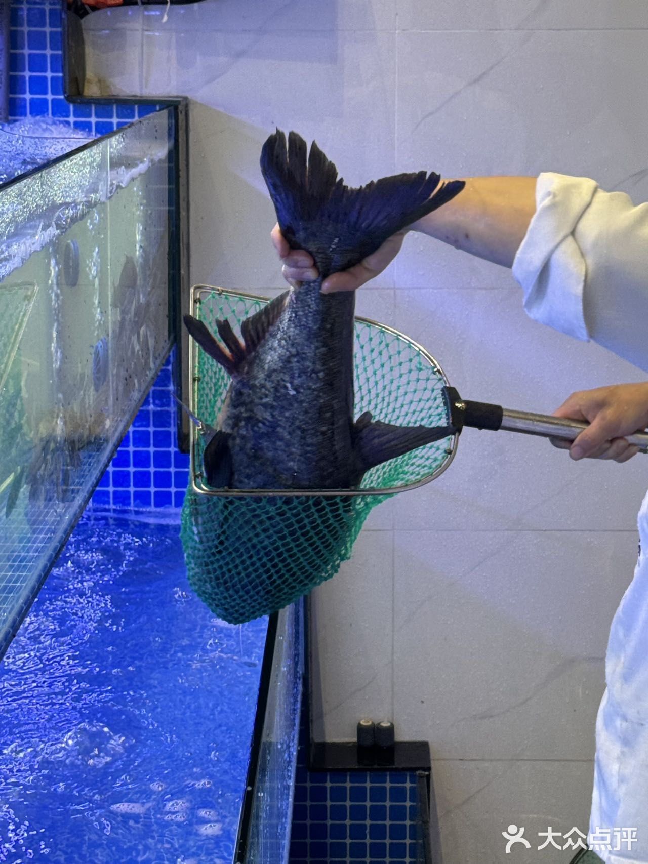 杭州宝藏私房菜✅千岛湖吃鱼来这里！