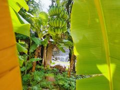 -西双版纳傣族园