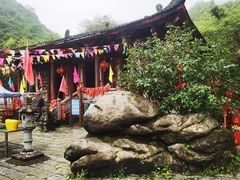 -玉石林风景区
