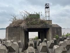 -上海滨江森林公园