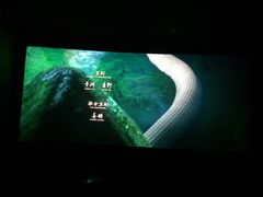 -天幕新彩云国际影城(激光巨幕店)