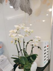 -上海首尔丽格医疗美容医院