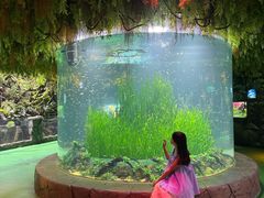 -海合安成都极地海洋公园